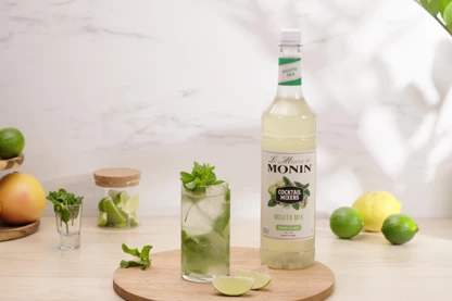 Le Mixeur Mojito